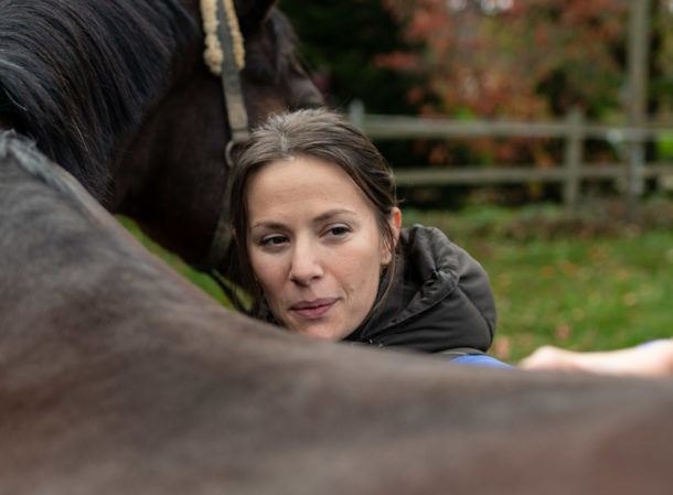 Ostéopathe pour animaux observant la ligne du dos d'un cheval brun, dans un pré en automne