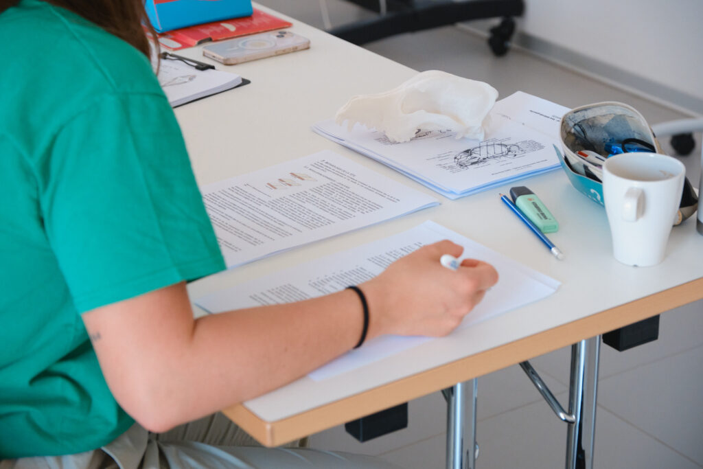 Étudiante annotant un support de cours, un crâne de petit animal posé à côté sur la table