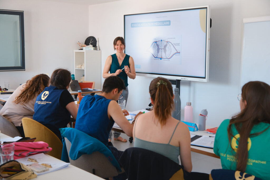 Formatrice devant un écran projetant un schéma de la moelle épinière, face à des étudiants en salle de cours