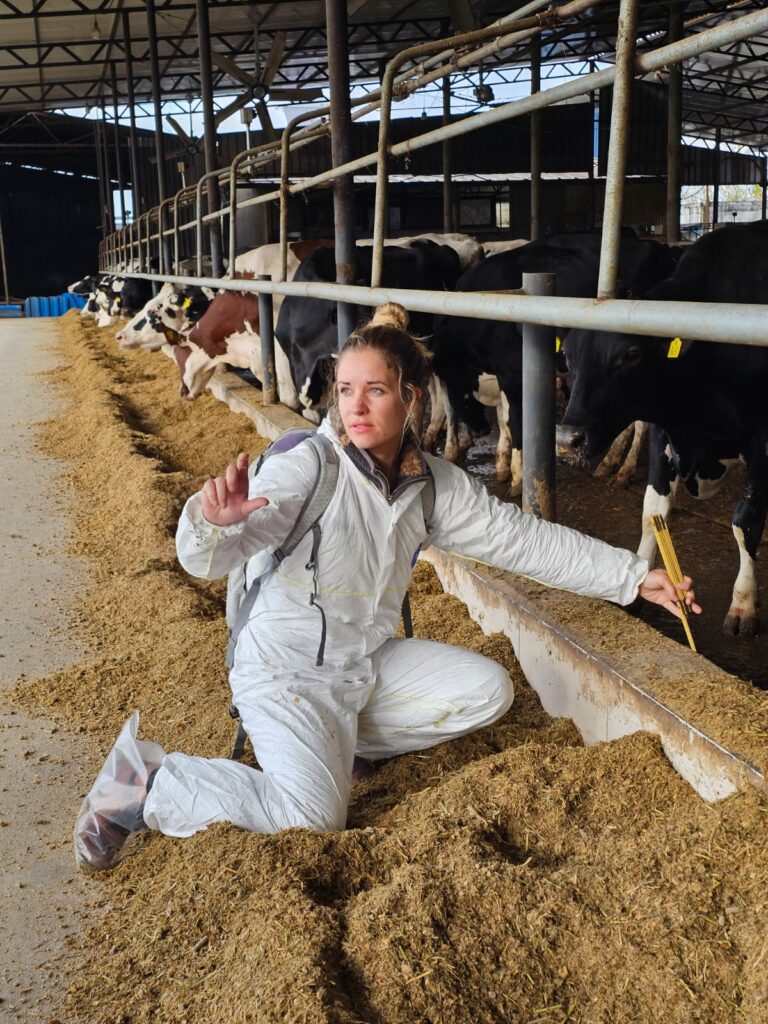 Martina Schmid, intervenante, en combinaison blanche dans le couloir d'alimentation d'une stabulation laitière